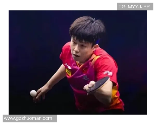 乒乓球的魅力与坚持：深入了解杭州乒乓球队的耐力训练与精神风貌