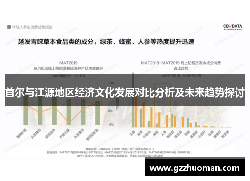 首尔与江源地区经济文化发展对比分析及未来趋势探讨